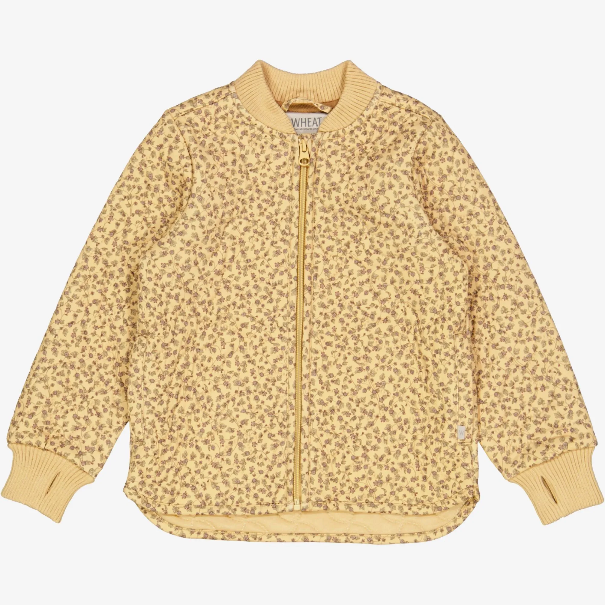 Casual Staple Thermo Jacket Loui - gooseberry wine