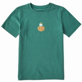 Sustainable Material Blend Kids Pumpkin Cat Mini Short Sleeve Crusher Tee