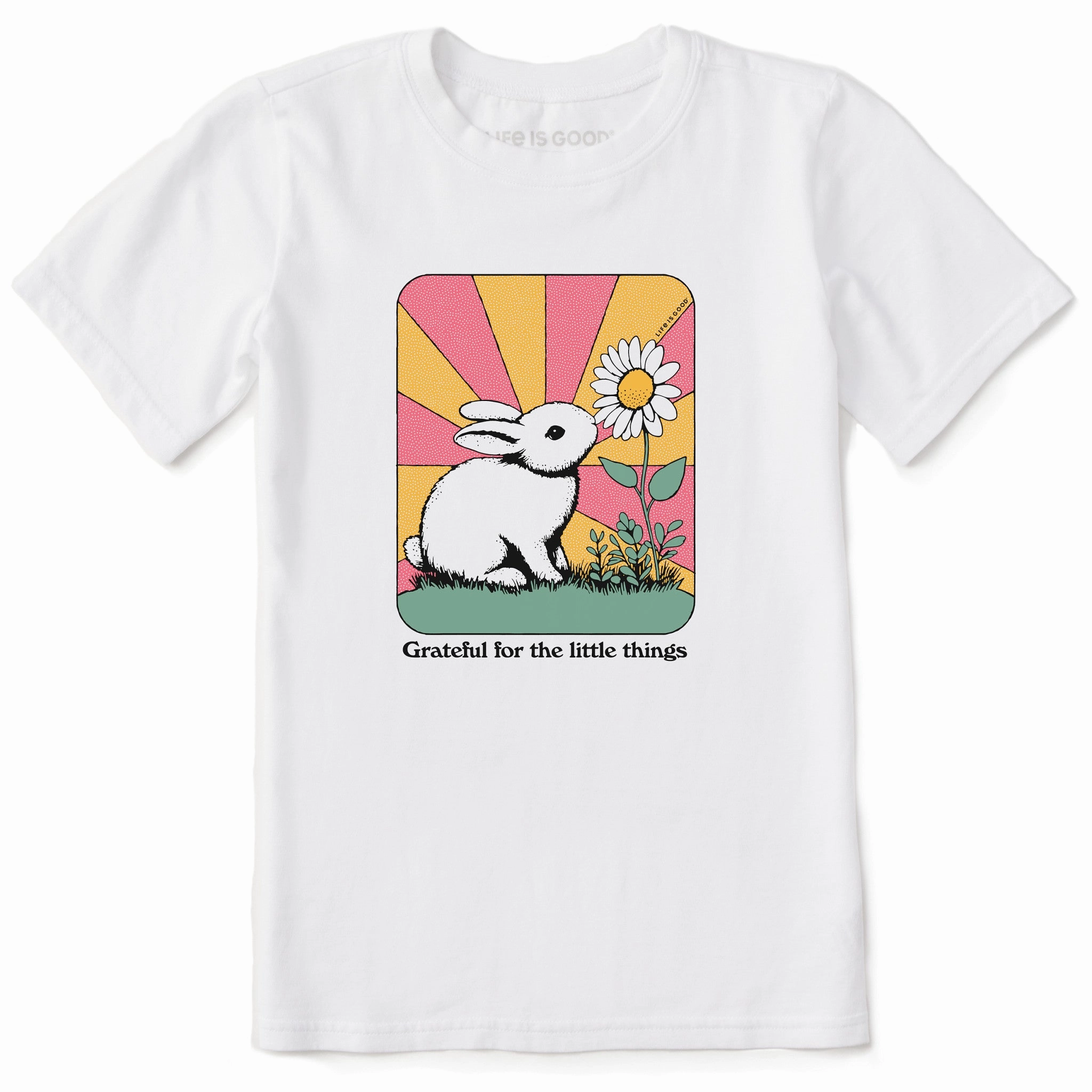 Kids Grateful for the Little Things Bunny Short Sleeve Crusher Tee Cool and casual