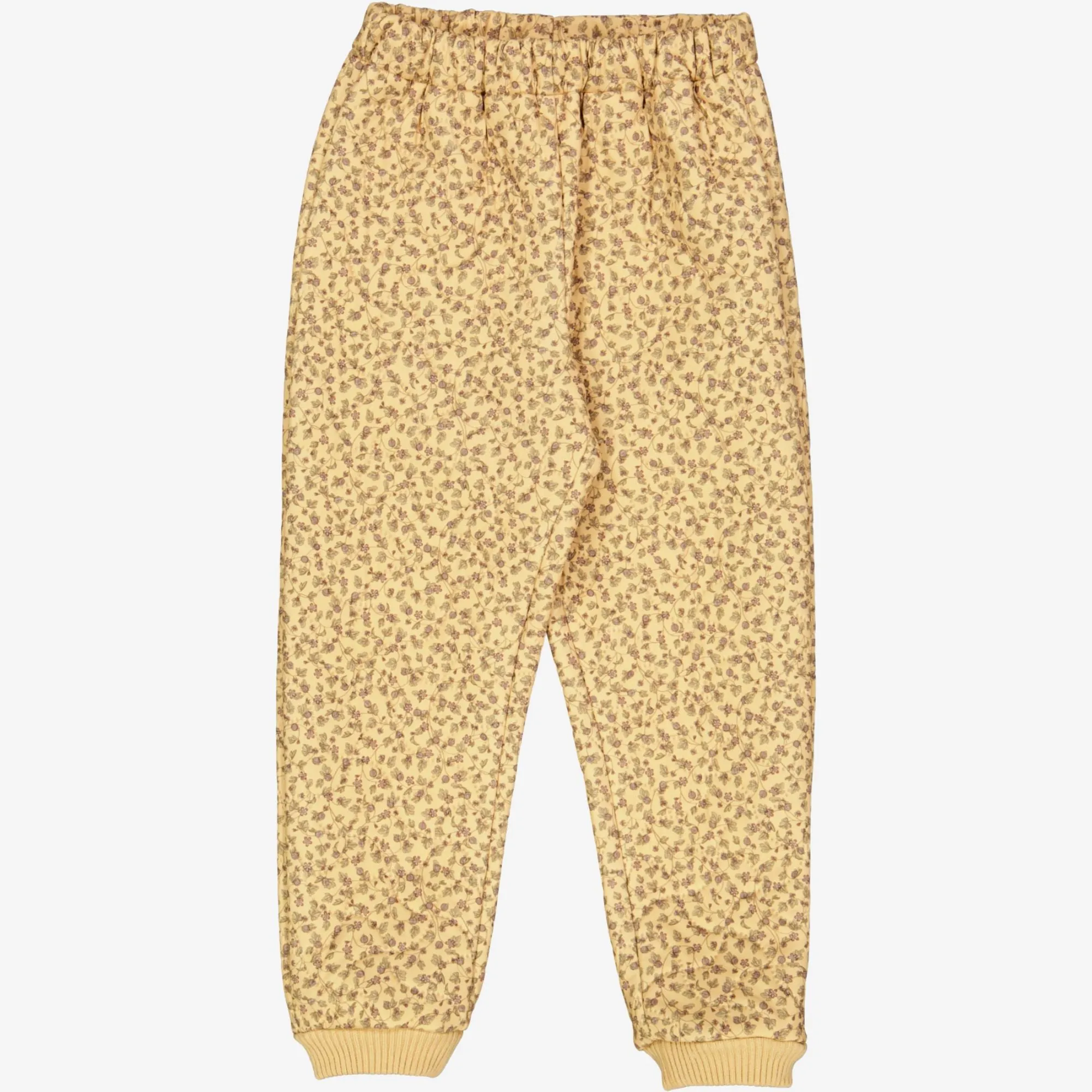 Thermo Pants Alex - gooseberry wine Frictionless Lining