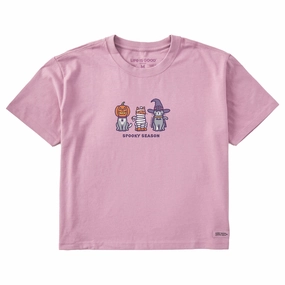 Multi Panel Design Fun Style Women's Spooky Halloween Cats Short Sleeve Crusher Boxy Tee