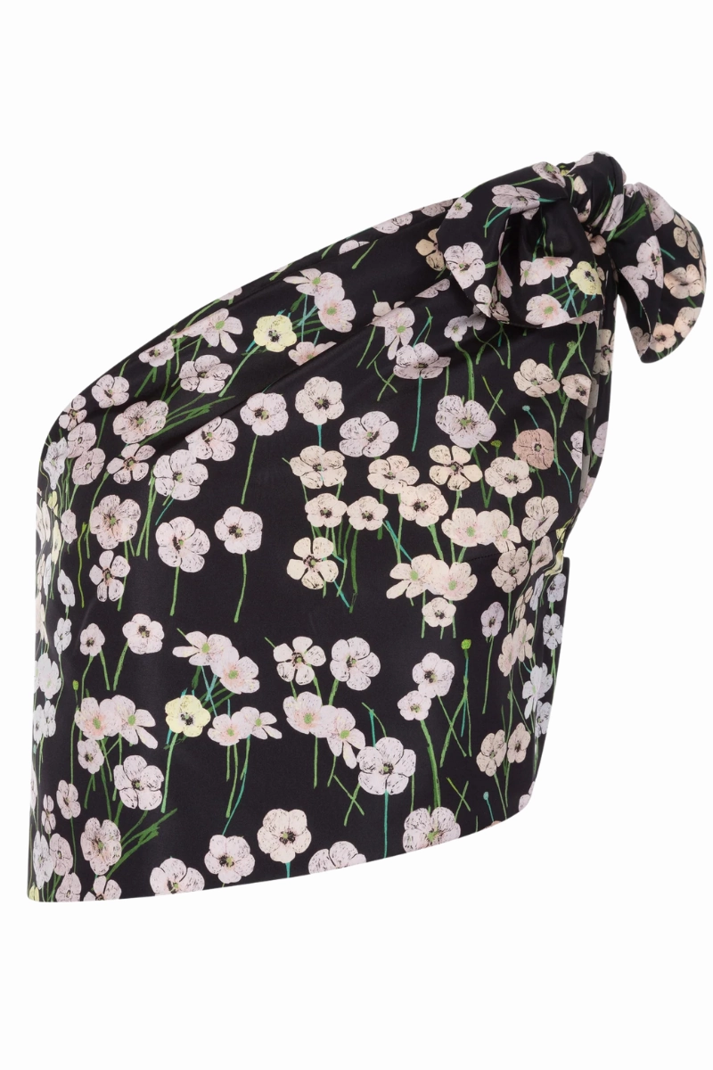 Carlotta Top Chic Wardrobe