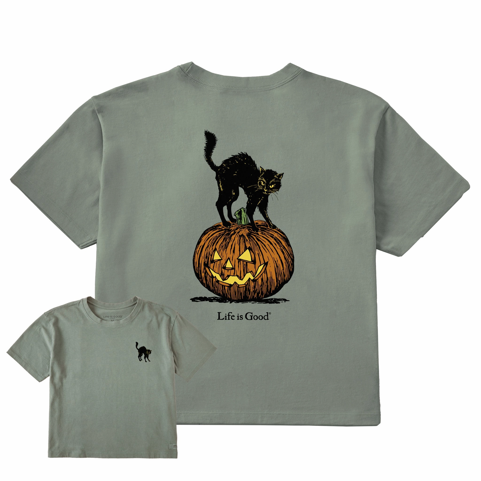 Women's Pumpkin Cat Short Sleeve Crusher Boxy Tee Chilly Weather Style