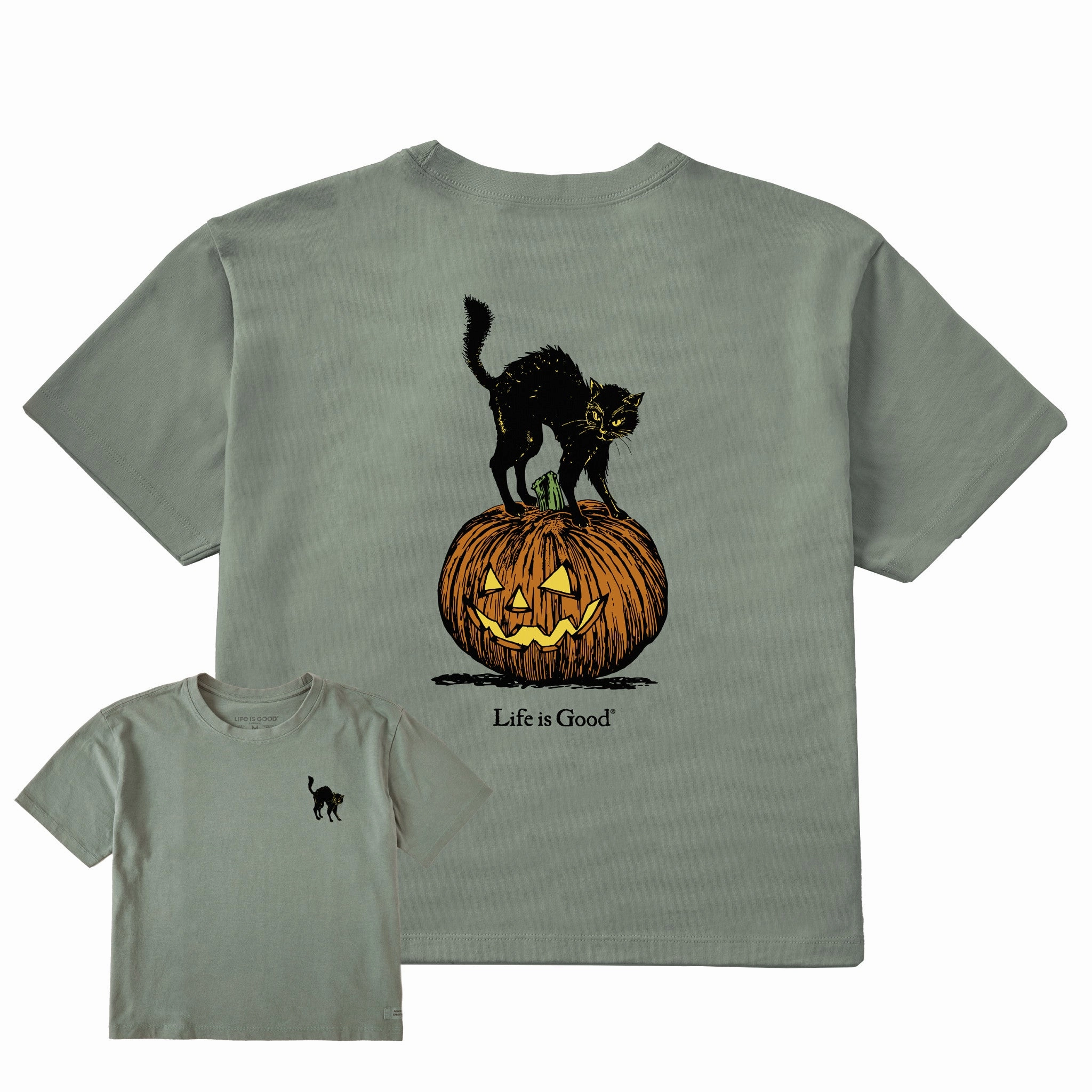 SlimFit Women's Pumpkin Cat Short Sleeve Crusher Boxy Tee