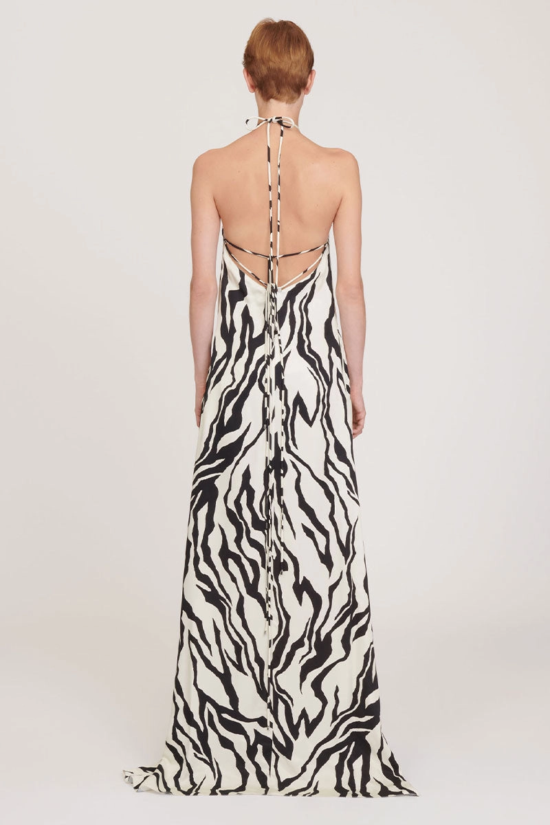 Zebra Print Long Dress Chilly Weather Wear Relax Layers